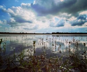 5 Simple Ways to Build Deeper Human Connections With Loved Ones